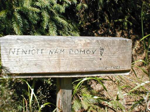 Cedulka u mraveniště Cedulka u mraveniště